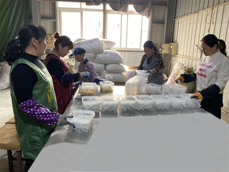 overmolding process manufacture